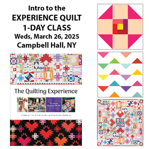 Intro to the Experience Quilt class - LOCAL Upstate NY